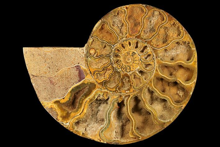 Crystal Filled, Cut & Polished Ammonite (Half) - Madagascar #182919